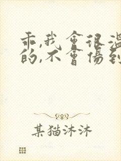 乖,我会很温柔的,不会伤到你小说封面