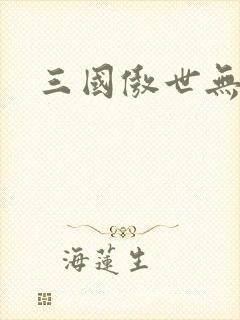 三国傲世无双封面