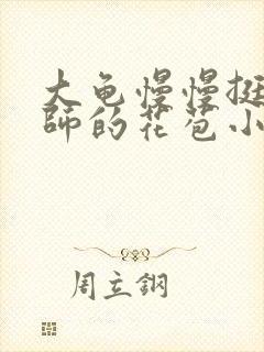 大龟慢慢挺进老师的花苞小说封面
