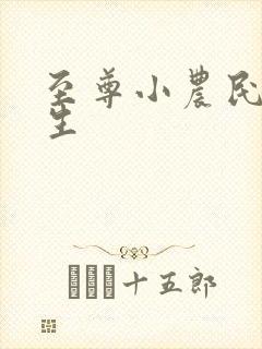 至尊小农民王木生