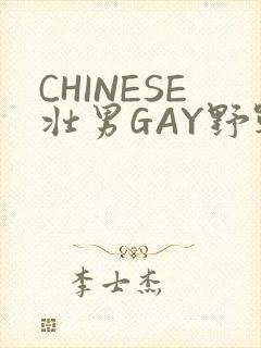CHINESE壮男GAY野战强迫TUBE封面