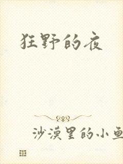 狂野的夜封面