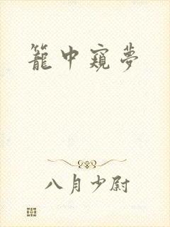笼中窥梦