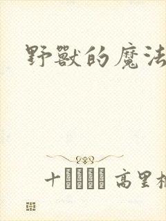 野兽的魔法师