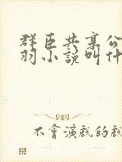 群臣共享公主银羽小说叫什么