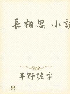 长相思 小说