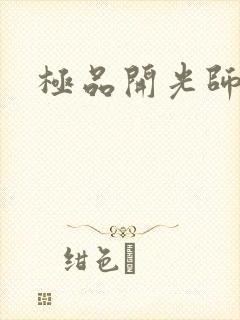 极品开光师封面