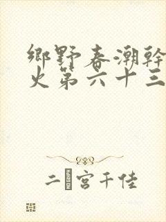 乡野春潮干柴烈火第六十三章