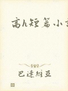 高h短篇小说封面