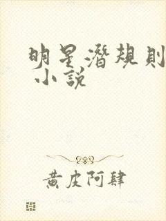 明星潜规则之皇 小说