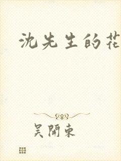沈先生的花式