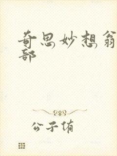 奇思妙想翁十三部