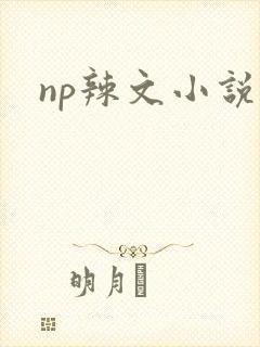 np辣文小说