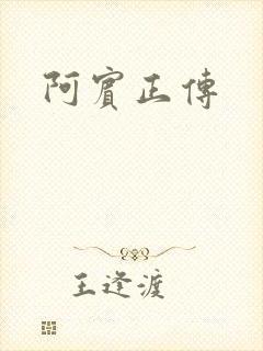 阿宾正传
