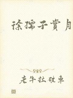 徐孺子赏月