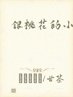 银桃花的小说