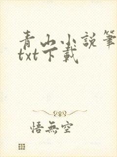 青山小说笔趣阁txt下载