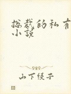 总裁的私有宝贝小说封面