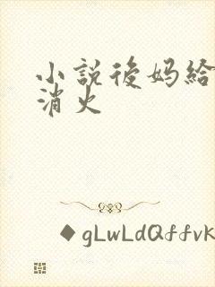 小说后妈给我消消火