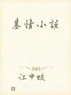 基情小说
