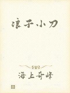 浪子小刀