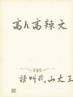 高h高辣文