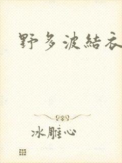 野多波结衣封面