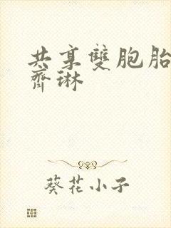 共享双胞胎齐娜齐琳