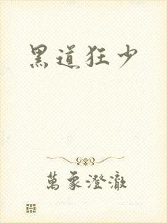 黑道狂少