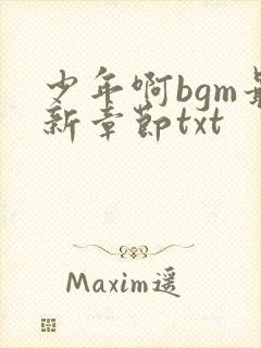 少年啊bgm最新章节txt