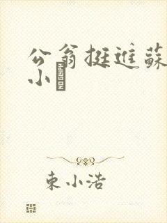 公翁挺进苏玥的小泬