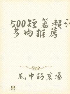 500短篇超污多肉推荐