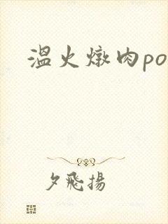温火炖肉pop