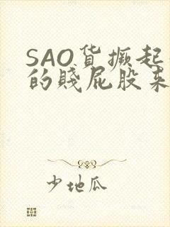 SAO货撅起你的贱屁股来