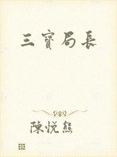 三宝局长封面