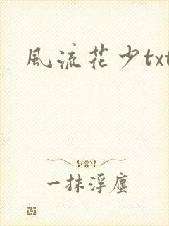 风流花少txt封面