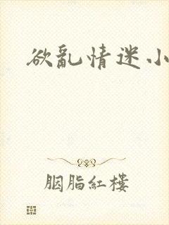 欲乱情迷小说