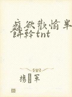 瘾欲欢愉半块小饼干tnt