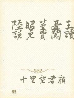 陆昭菱晋王的小说免费阅读封面