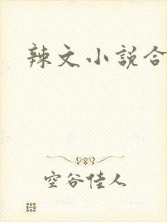 辣文小说合集