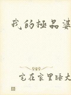 我的极品婆婆