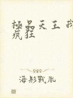 极品天王 我本疯狂封面
