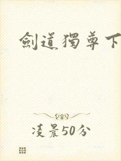 剑道独尊下载封面