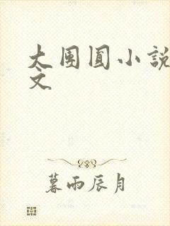 大团圆小说集全文封面