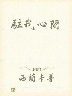 驻我心间