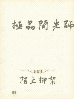 极品开光师