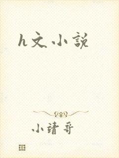 h文小说封面