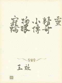 宠物小精灵之写轮眼传奇