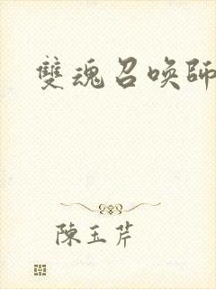 双魂召唤师