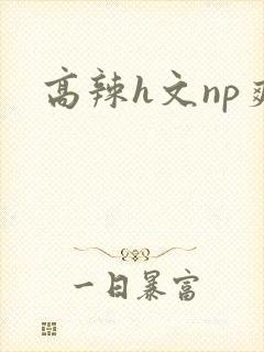 高辣h文np爽